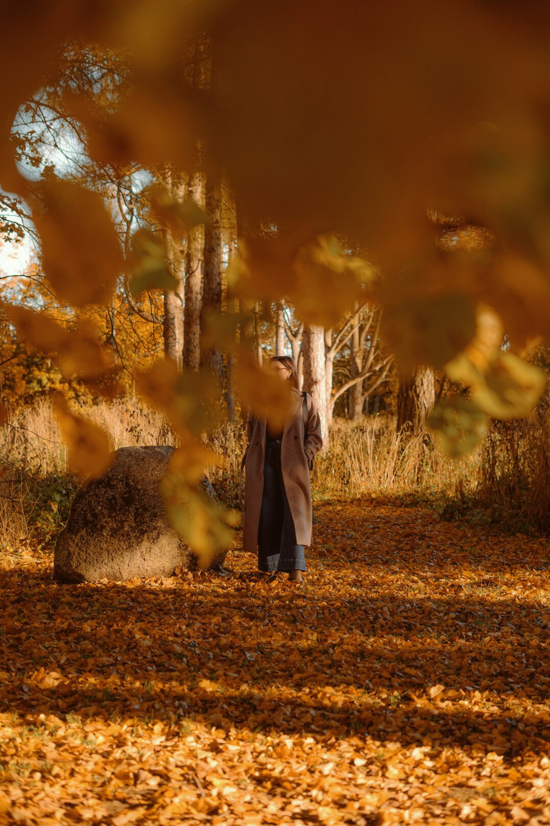 person walking path in forest